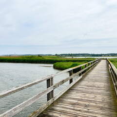 24-06-21 13-54-50 9751